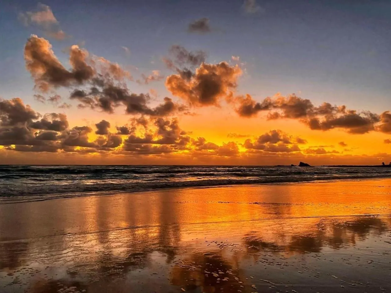 2867Hps The Marine In Palm Beach Central 2B Apartment Gold Coast